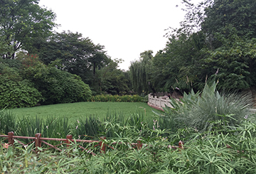 桂湖公园污水净化项目