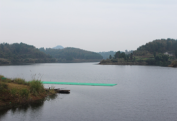 西充青龙湖国家湿地公园水质净化工程